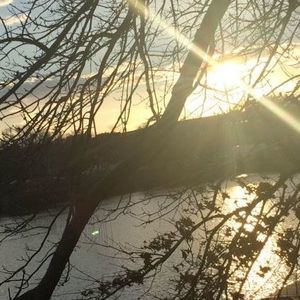 Meet your Posher, Don